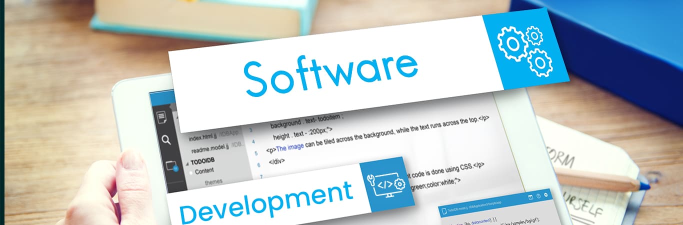 Software Development Services